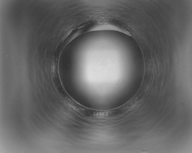 X0000056340084200509091541
