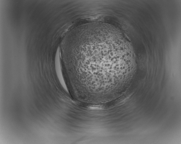 X0000056340085200509091541