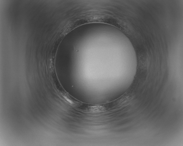 X0000056340087200509091541