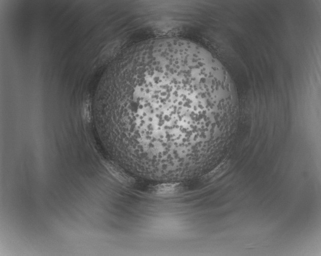 X0000056340090200509091541
