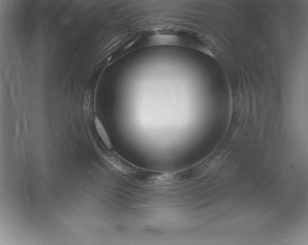 X0000056340092200509091541