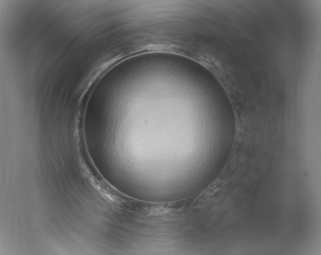 X0000056340098200509091541