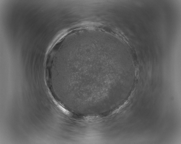 X0000056340101200509091541