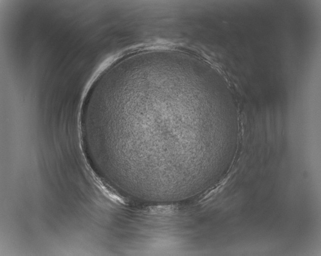 X0000056340102200509091540