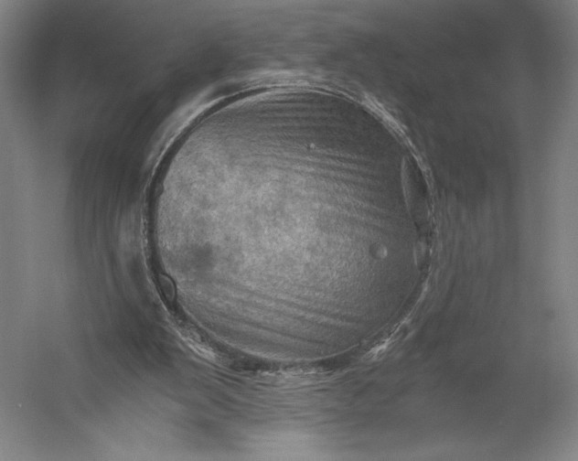 X0000056340103200509091540