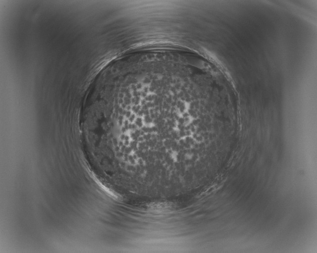 X0000056340105200509091540