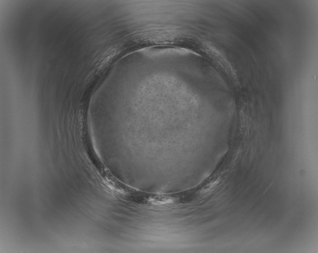 X0000056340113200509091540
