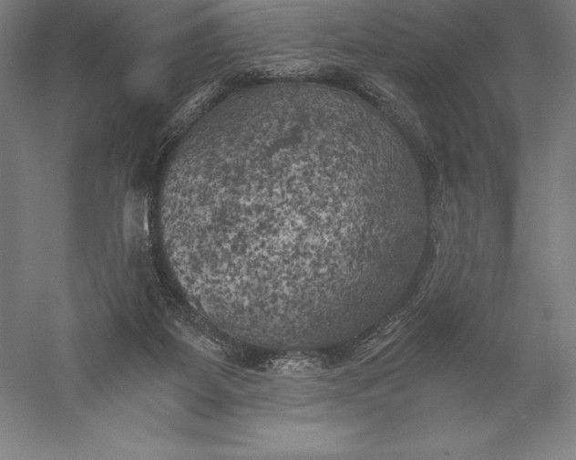 X0000056340115200509091540