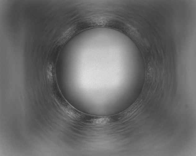 X0000056340122200509091540