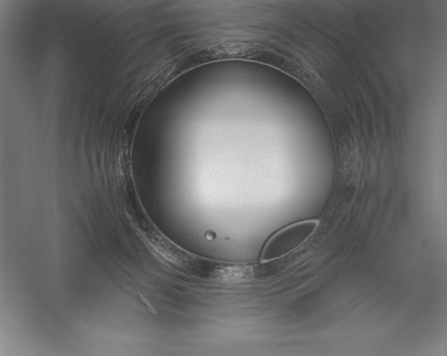 X0000056340126200509091540