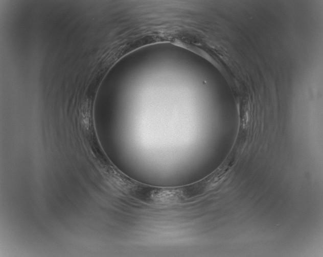X0000056340129200509091540
