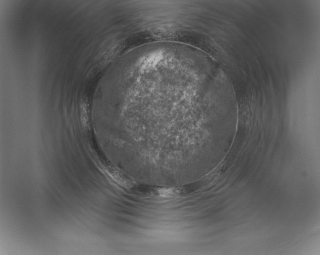 X0000056340130200509091540