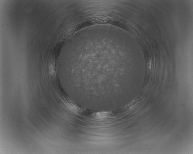 X0000056340134200509091540
