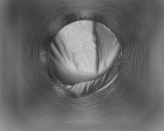 X0000056340135200509091540