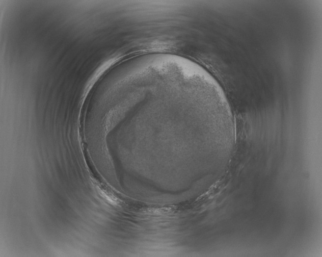 X0000056340147200509091539
