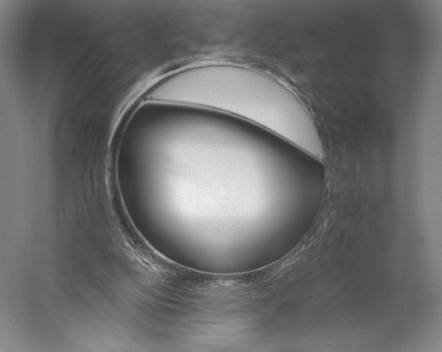 X0000056340152200509091539