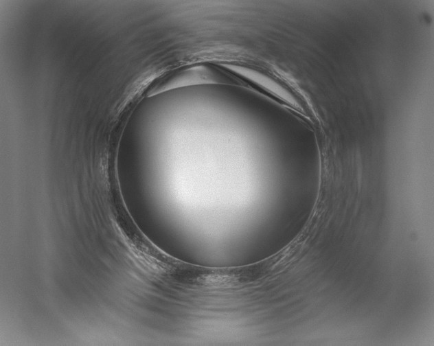 X0000056340154200509091539