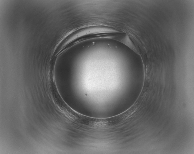 X0000056340156200509091539