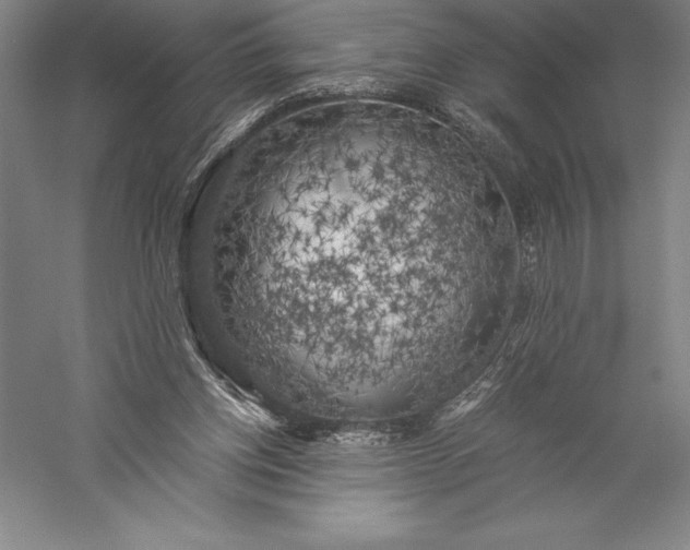X0000056340158200509091539