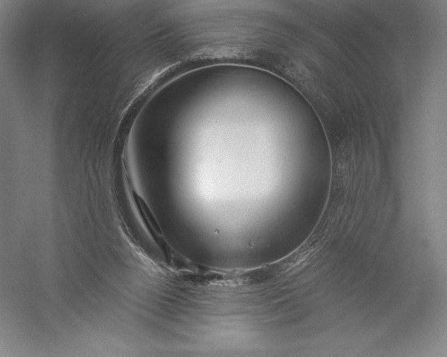X0000056340160200509091539