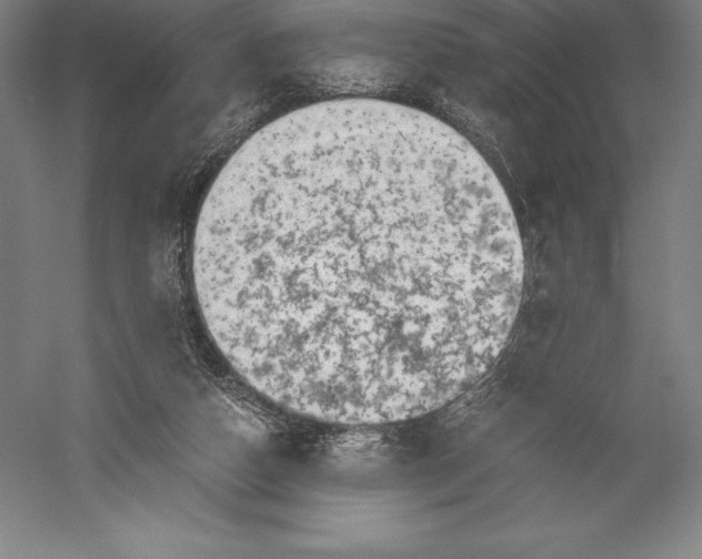 X0000056340162200509091539