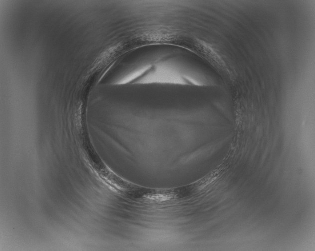 X0000056340163200509091539