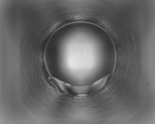 X0000056340164200509091539