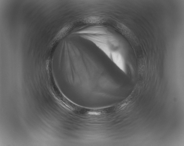 X0000056340167200509091539