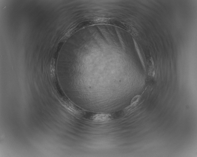 X0000056340179200509091540