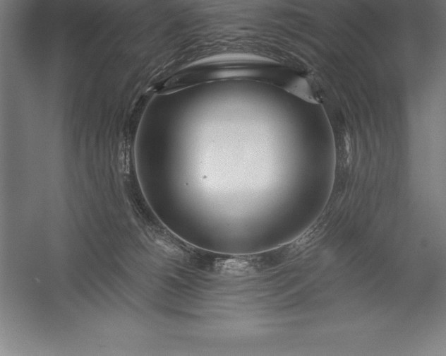 X0000056340180200509091540