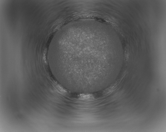 X0000056340185200509091540