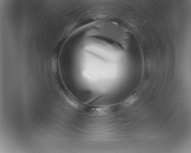 X0000056340188200509091540