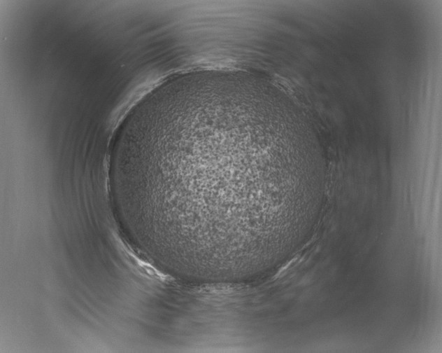 X0000056340194200509091539