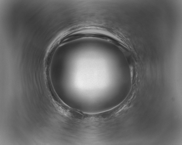 X0000056340197200509091539