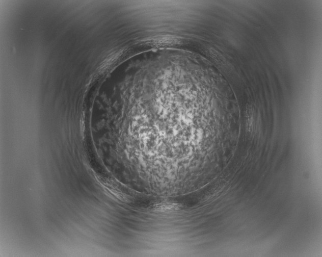 X0000056340206200509091539