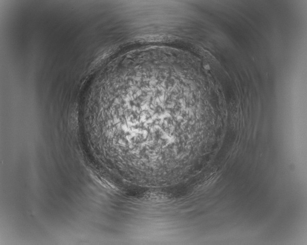 X0000056340207200509091539