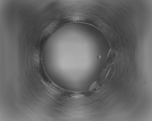 X0000056340210200509091539