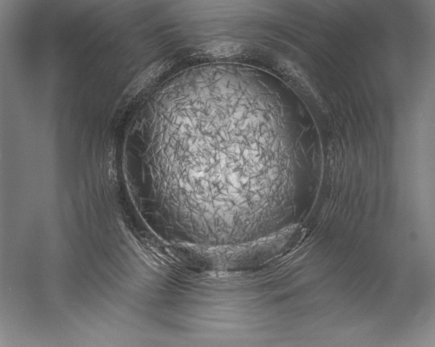 X0000056340212200509091539