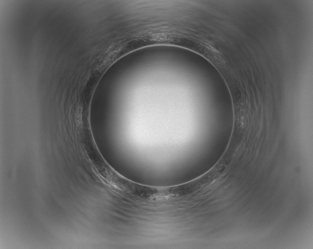 X0000056340213200509091539