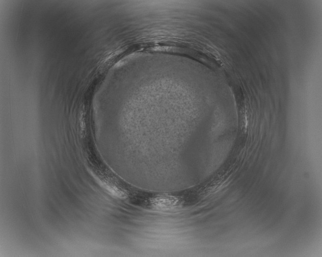 X0000056340215200509091539