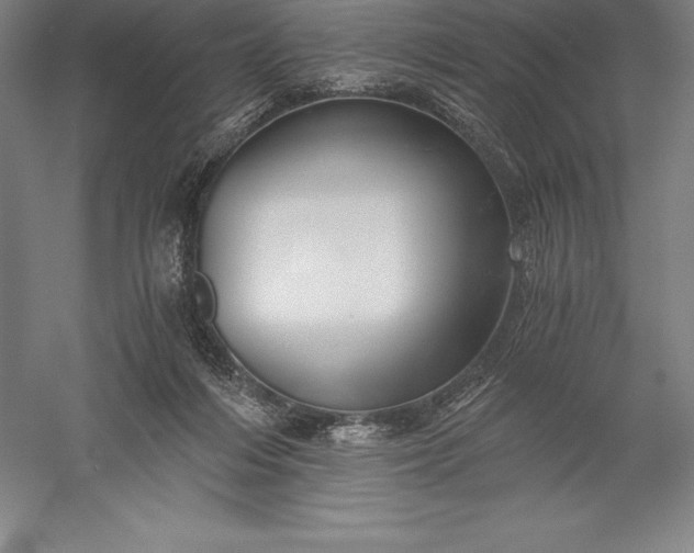 X0000056340216200509091539