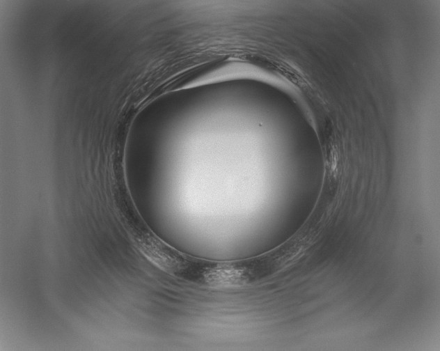 X0000056340217200509091539