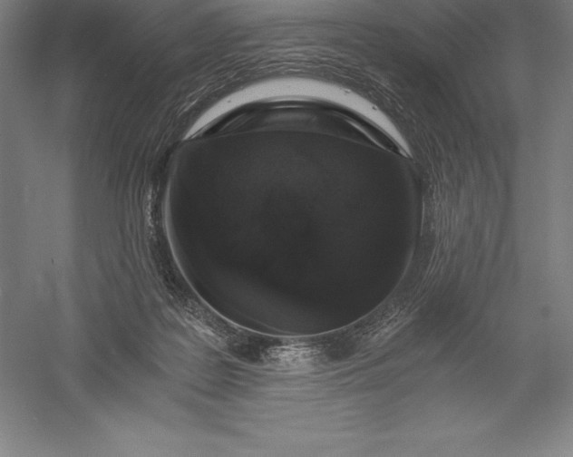 X0000056340219200509091539