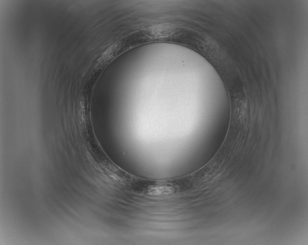 X0000056340220200509091538