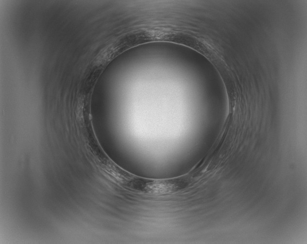 X0000056340221200509091538