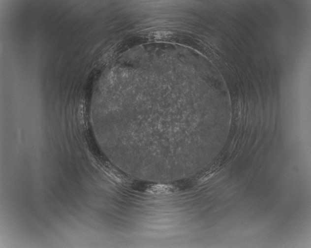 X0000056340222200509091538