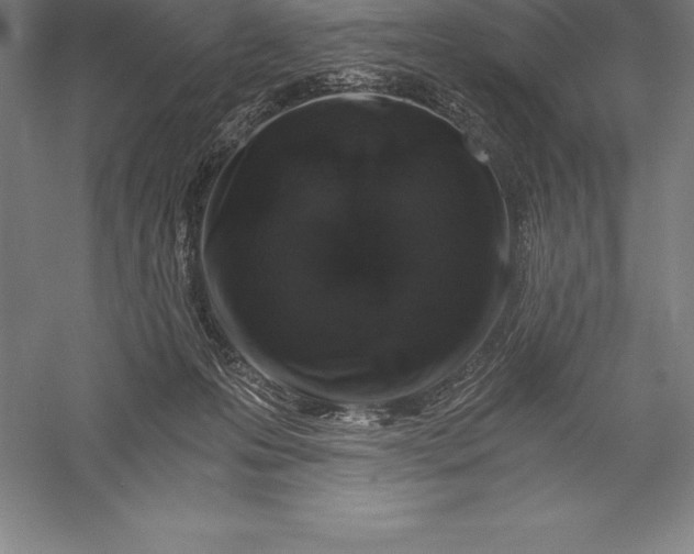 X0000056340223200509091538
