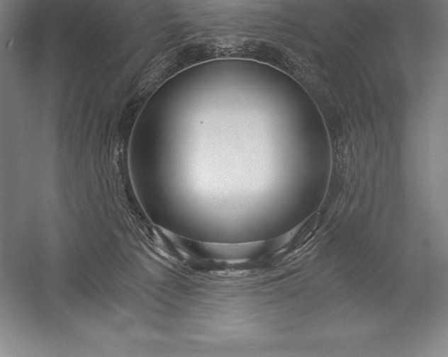 X0000056340225200509091538