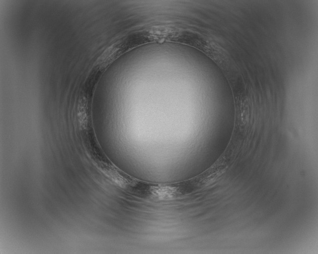 X0000056340226200509091538