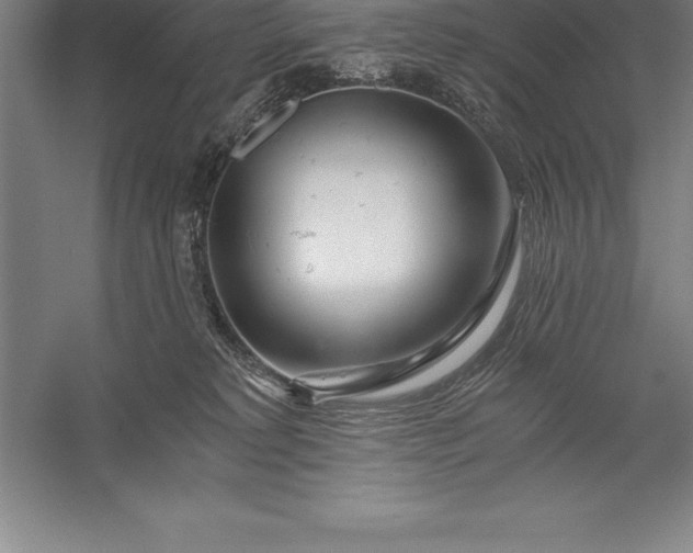 X0000056340229200509091538